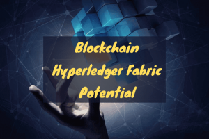 Blockchain Hyperledger Fabric