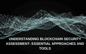 blockchain security assessment