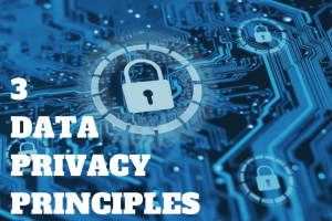 3 data privacy principles