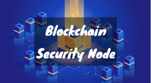 Blockchain Security Node