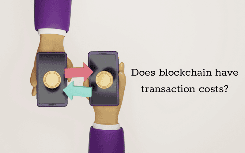 a blockchain carries no transaction cost 