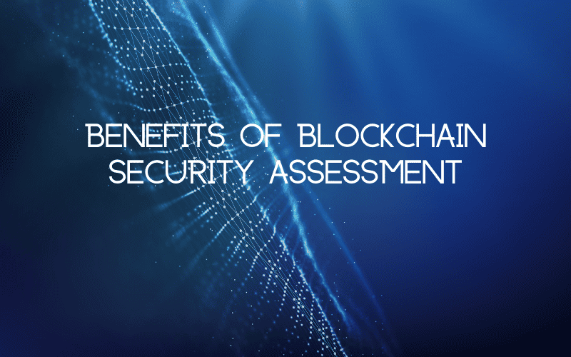 blockchain security assessment
