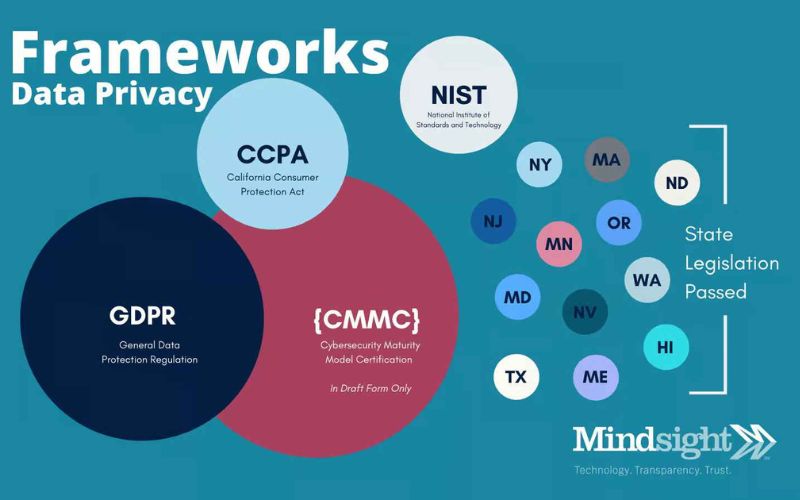 the data privacy framework
