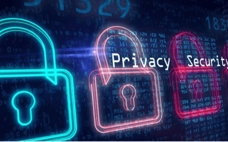 data privacy vs data security